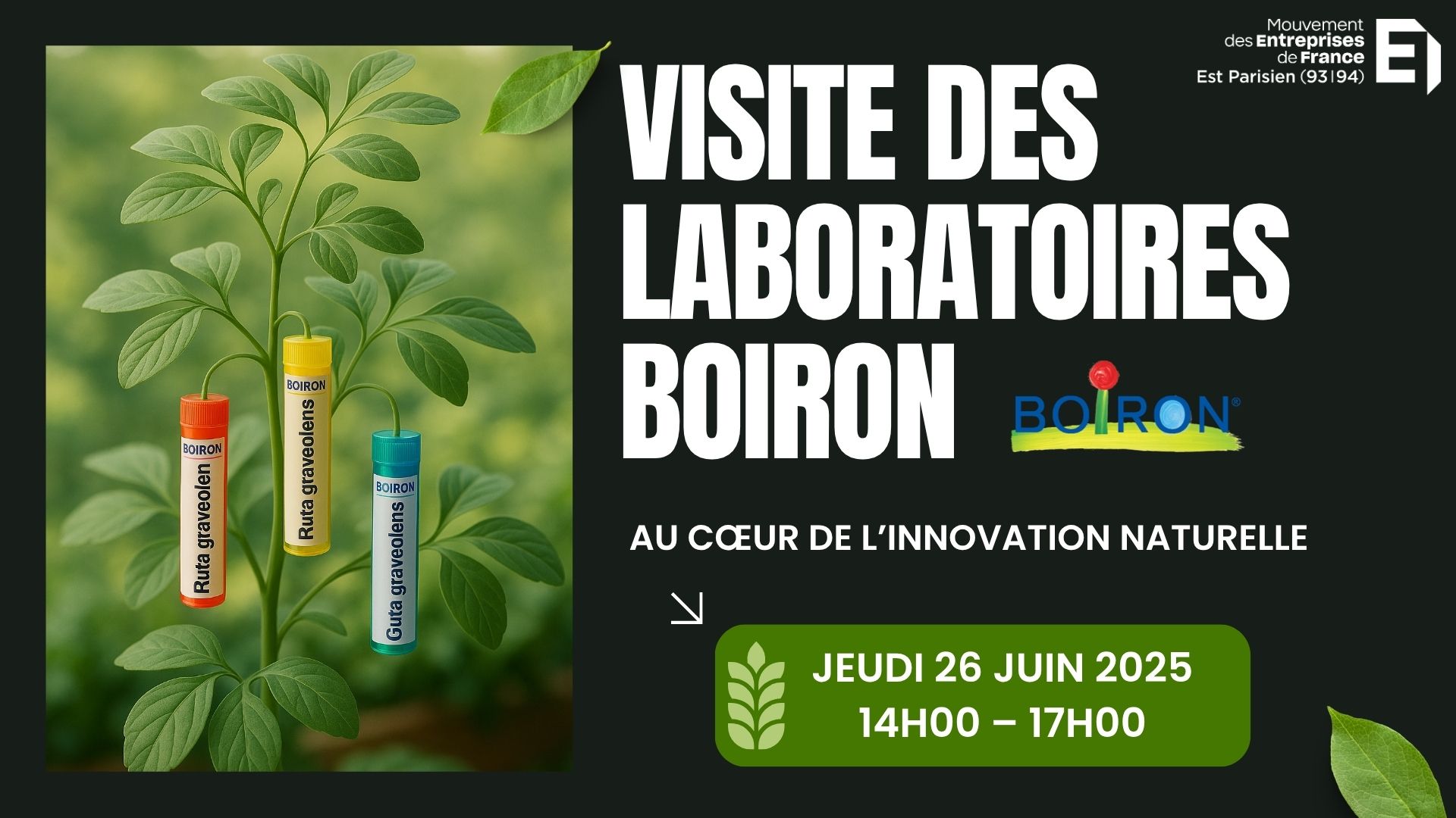 Plongez au cœur du laboratoire Boiron à Pantin